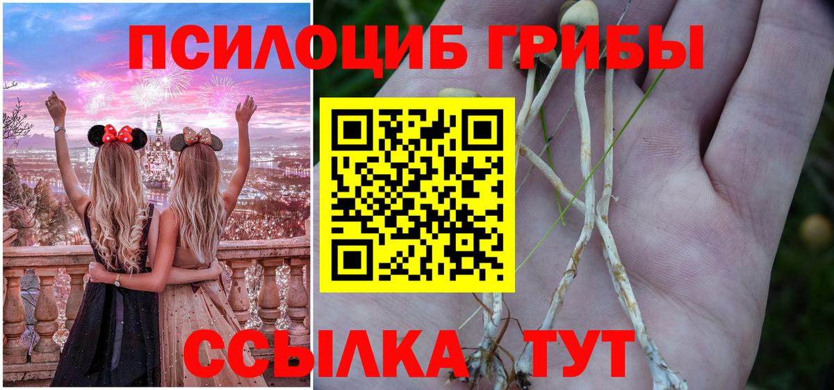 Братск  Галлюциногенные грибы Magic Shrooms  Вход с VPN  Галлюциногенные грибы Psilocybe 